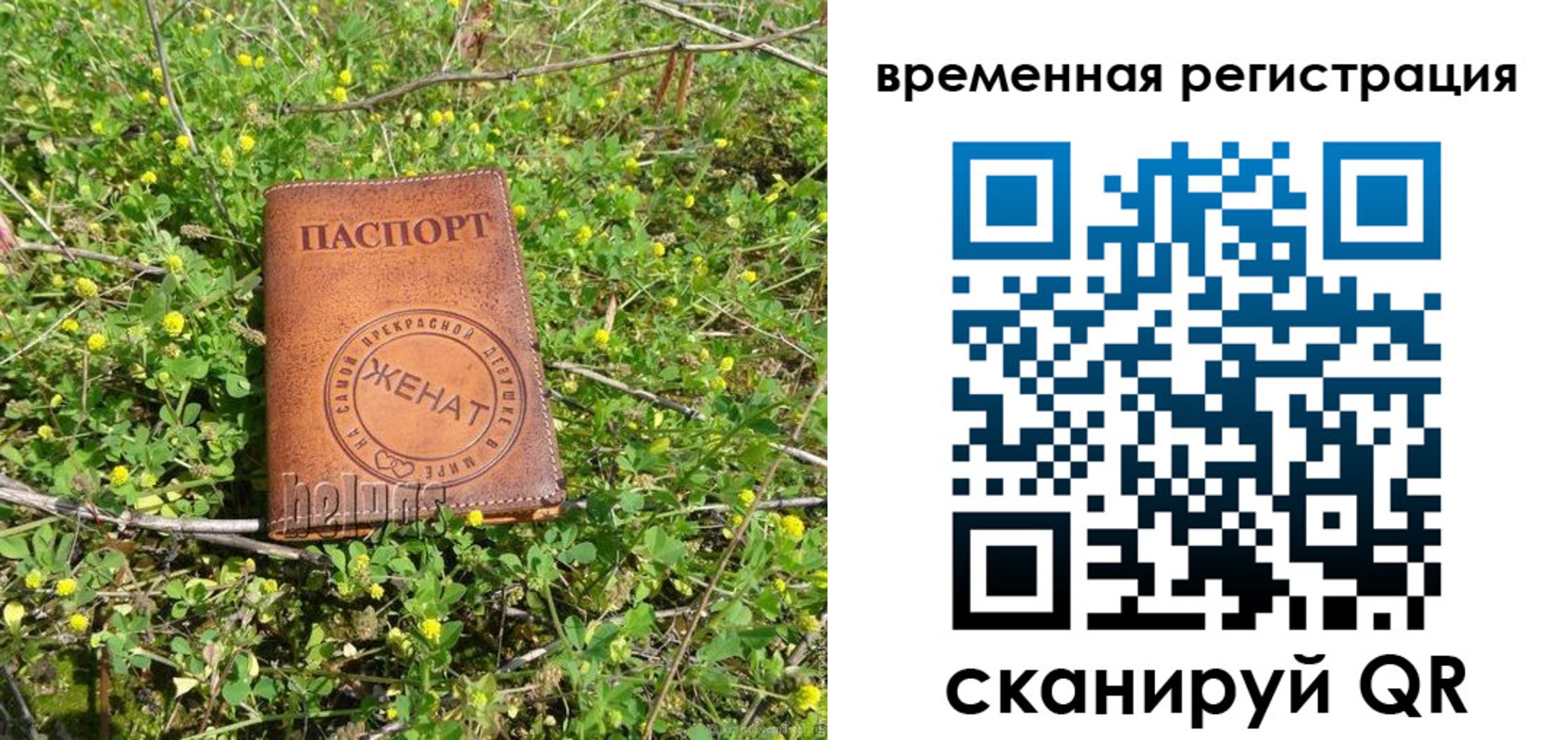 прописка регистрация в Дятьково